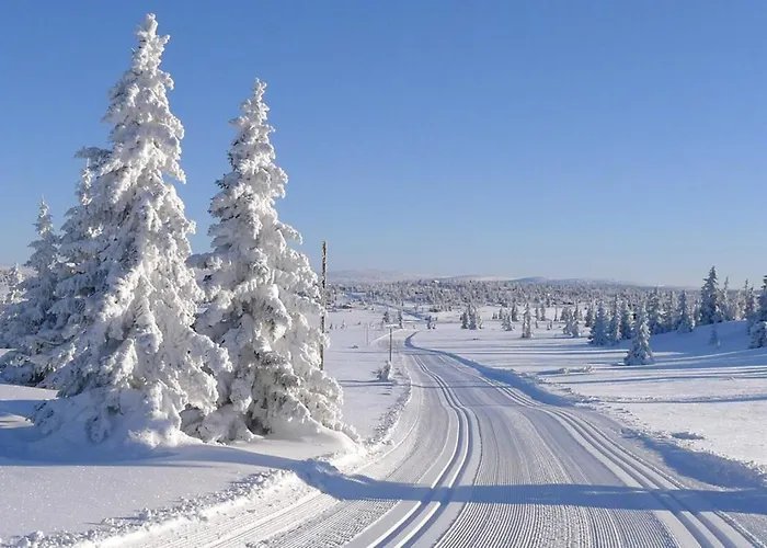 Modern Mountain In-out 2 Bathrooms * Sjusjøen