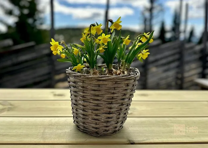 Modern Mountain In-out 2 Bathrooms Casa de Férias *