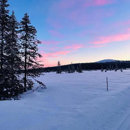 Modern Mountain In-out 2 Bathrooms 펜션 Sjusjøen